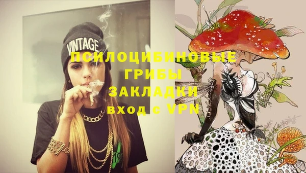 гидра Богданович