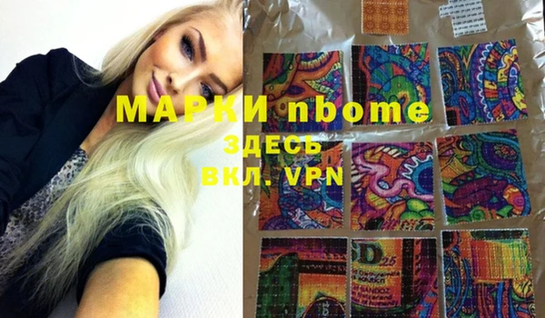 индика Беломорск