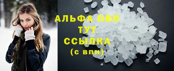 индика Беломорск